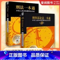 刑事诉讼法一本通 [正版]2024新版刑法一本通第十七版 刑事诉讼法一本通第十八版 全2册 相关法律立法解释立案标准司