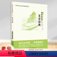 [正版] 艾青诗选导读与赏析 高中篇 高中语文阅读素材 高中生同步课堂训练 课外阅读指导书系 中国文学欣赏 中外文化文
