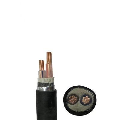 瑞鑫发达 铜芯电缆YJV22 2*50米