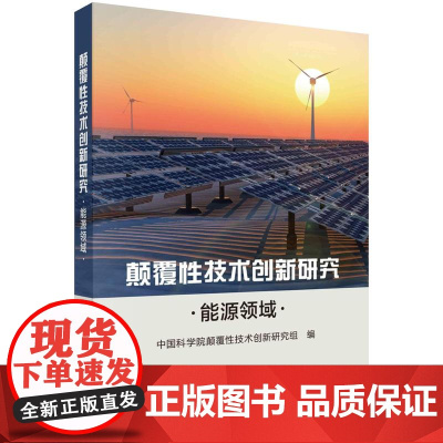 [按需印刷] 颠覆性技术创新研究——能源领域