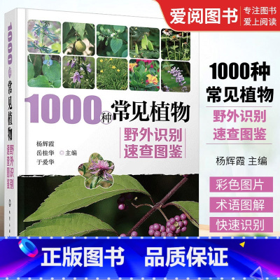 [正版]1000种常见植物野外识别速查图鉴 杨辉霞 化学工业出版社 图解中草药大全 家庭书籍野外识别原植物鉴别图册中国