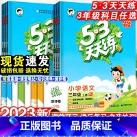 英语·人教版 三年级下 [正版]53天天练三年级上册语文数学英语全套人教版苏教版北师同步训练小学3年级五三5.3练习册试