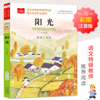 正版新书]沙滩上的童话金波9787570428182