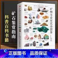 [官方正版]矿物与岩石完全图鉴 [正版] 含章图鉴-矿物与岩石完全图鉴 矿石科普百科金刚石玛瑙花岗岩大理石黄土等知识风貌