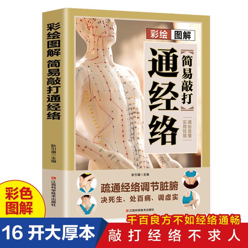 正版新书]彩绘图解简易敲打经络耿引循9787539077246