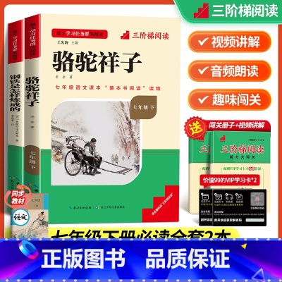 骆驼祥子+钢铁是怎样炼成的 [正版]三阶梯阅读名著名校课堂钢铁是怎样炼成的原著必读七年级下册的课外书初一7下名著初中阅读