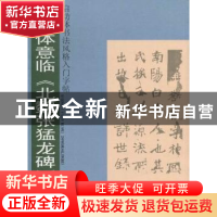 正版 启功体意临《北魏张猛龙碑》 文阿禅编著 岭南美术出版社