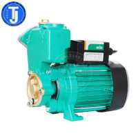 德国威乐水泵自吸泵PW-175/177EH非自动型增压泵抽水机冷热水加压泵