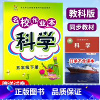 [正版]2024新版 名校作业本 科学 5五年级下册 科学 教科版练习册 小学生5年级下册科学同步练习课时作业本单元测