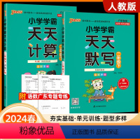 [广东版]天天默写+计算 人教版 共2本 二年级上 [正版]2024绿卡小学学霸天天计算天天默写二年级下册北师版人教版语