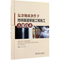 正版新书]复杂地质条件下地铁隧道穿越工程施工关键技术郑爱元//