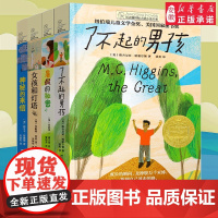 长青藤国际大奖小说书系第十五辑 女孩和灯塔了不起的男孩暑假的秘密神秘的来信 经典儿童文学读物三四五六年级小学生课外阅读书