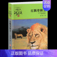 红飘带狮王 [正版]象群迁移的时候沈石溪小学四年级五年级全集全套书浙江少年儿童出版社非注音版完整版动物小说大王品藏书系课