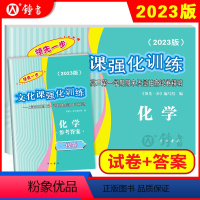 [正版]2023版领先一步高考一模卷 化学 文化课强化训练 高考一模卷化学试卷+答案 上海市高三第一学期期末质量抽查试