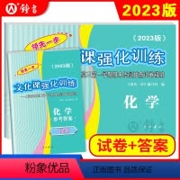 [正版]2023版领先一步高考一模卷 化学 文化课强化训练 高考一模卷化学试卷+答案 上海市高三第一学期期末质量抽查试