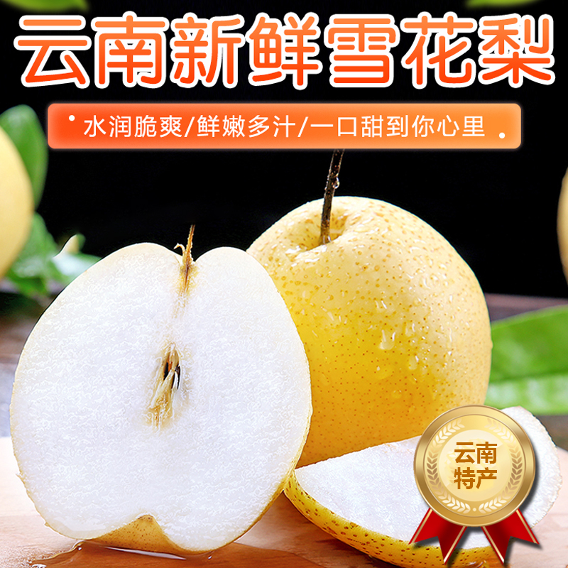 [西沛生鲜]云南新鲜雪花梨 净重5斤 大果 单果200g+ 新鲜脆梨水果当季现摘现发雪花梨孕妇水果头茬新果