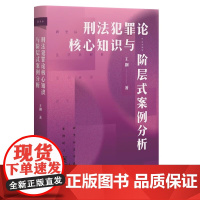2025新书 刑法犯罪论核心知识与阶层式案例分析 王钢 著 北京大学出版社 9787301357330