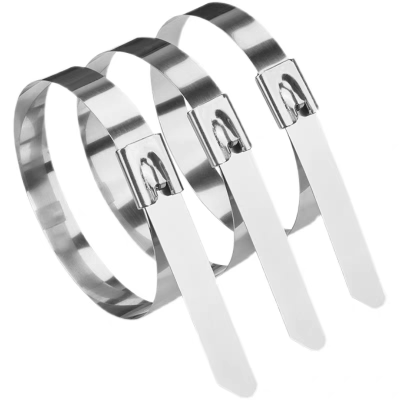 衡雁骏兴 不锈钢扎带 1000mm*10mm*0.3mm 根