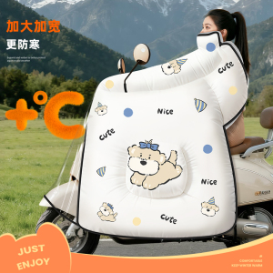 正雨电动车挡风被四季加绒加厚电瓶摩托车防寒防风防车罩冬款女款9063