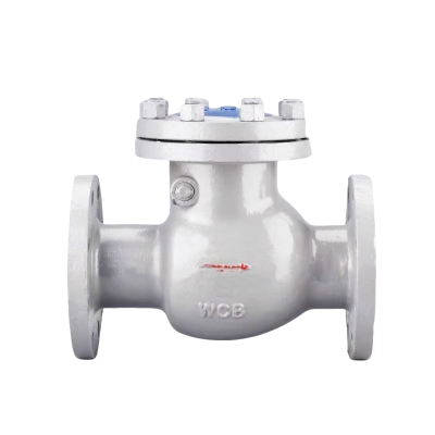 智铮朗月 铸钢止回阀 H44H-16C DN250 个