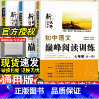 [九年级/中考]语文-中考现代文阅读答题公式 初中通用 [正版]初中语文巅峰阅读训练国一八九年级现代文阅读理解答题模