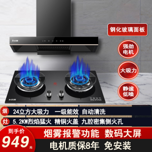 志高(CHIGO)F810+F216A 欧式直吸抽油烟机燃气灶套餐 双灶眼 电机免费终身换新(液化气)