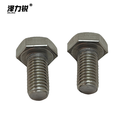 泽力锐 不锈钢螺栓4.8级 M10x20 个
