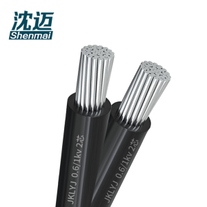 沈迈 铝芯电缆 JKLYJ-0.6/1kV-2*16平方 1米