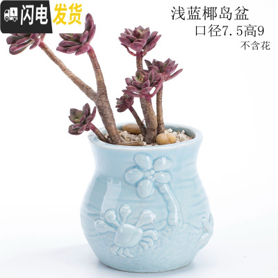 三维工匠创意个性中大小号口径北欧风蓝色家用可爱多肉花盆陶瓷器 浅蓝椰岛盆 中等花盆容器