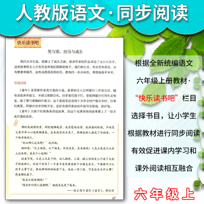 六年级上 小学通用 [正版]人教快乐读书吧小英雄雨来童年爱的教育全套共三3本小学六6年级上册名著阅读课程化丛书 儿童读物