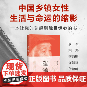 盐镇