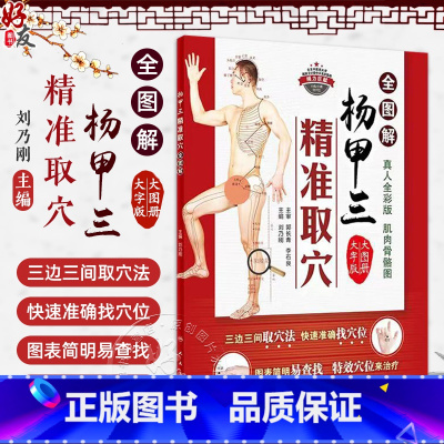 [正版]杨甲三精准取穴全图解刘乃刚快速准确找穴位三边三间取穴法真人全彩肌肉骨骼大字版大图册临床针灸血艾灸推拿按摩穴位人