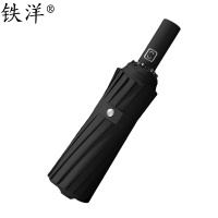 铁洋 16骨自动晴雨伞 三折TY-YS011 把