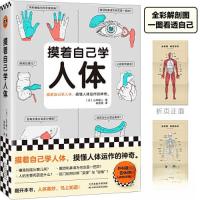 正版新书]摸着自己学人体(日)山本健人;读客文化 出品9787574
