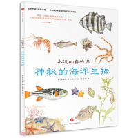 正版新书]水边的自然课:神秘的海洋生物[韩]金雄西/著 [韩]朴昭