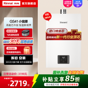 林内/Rinnai 16升燃气热水器16GS41(JSQ31-GS41)智能变频恒温水气双调防风防冻 小蛮腰