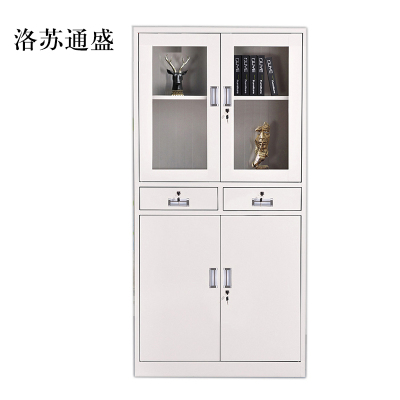 洛苏通盛钢制文件柜资料柜档案柜财务凭证柜带锁储物柜铁皮柜书柜中二斗文件柜常规款