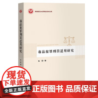 正版 毒品犯罪刑罚适用研究 伍晋 著 中国检察出版社 9787510228384