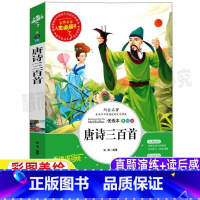 [正版]唐诗三百首带翻译注释全解详注全集三年级四五六小学生青少年通用原文译文鉴赏析彩图美绘插画版书诵读本山东美术出版社