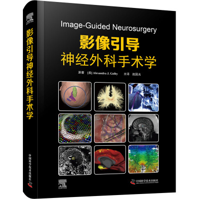 影像引导神经外科手术学