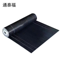 通泰福 改性沥青防水卷材SBS 厚4mm*长10米(-20度)/卷