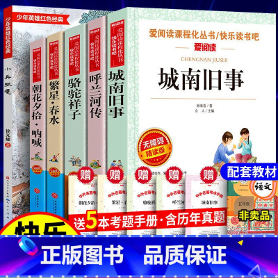 [全6册]小兵张嘎+呼兰+城南+繁星+骆驼+朝花+考点 [正版]送考题册城南旧事 原著完整版 林海音著 五年级下册课外名