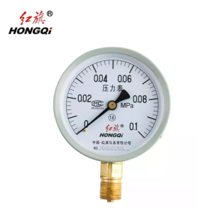 红旗 不锈钢压力表精检款 Y100BF 0-1.6MPa 块