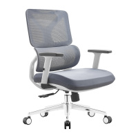 臻远 ZY-8940 办公椅人体工学椅转椅 定型棉白框 单位:把