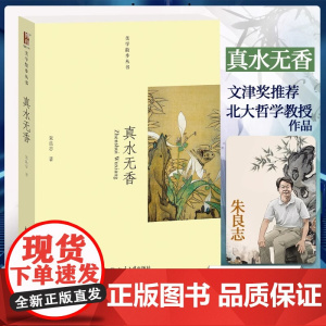 真水无香 美学散步丛书 北京大学朱良志教授著 考察中国艺术和审美生活 师法造化 北京大学出版社 研究中国艺术观念的一本新