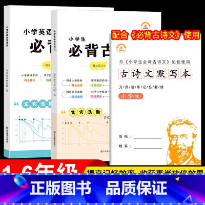 [全套.3册]艾宾浩斯记忆 小学通用 [正版]艾宾浩斯单词本小学英语单词记背神器遗忘曲线快速记忆法复习计划表一到六年级四