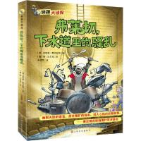 正版新书]臭鼬大侦探•弗莱切,下水道里的骚乱安特耶·斯齐拉特97