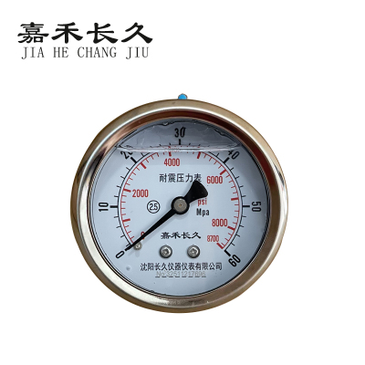 嘉禾长久 耐震压力表轴向 YTN60Z 0-60Mpa 块