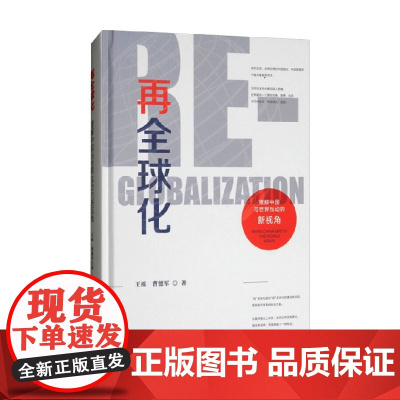 再全球化 理解中国与世界互动的新视角 王栋等 著 政治