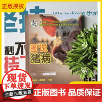 2025新书 图说猪病 范俊娟 姜凤丽 猪的传染病寄生虫病常见普通病防治教程 畜牧兽医教材书 中国农业大学出版社 978
